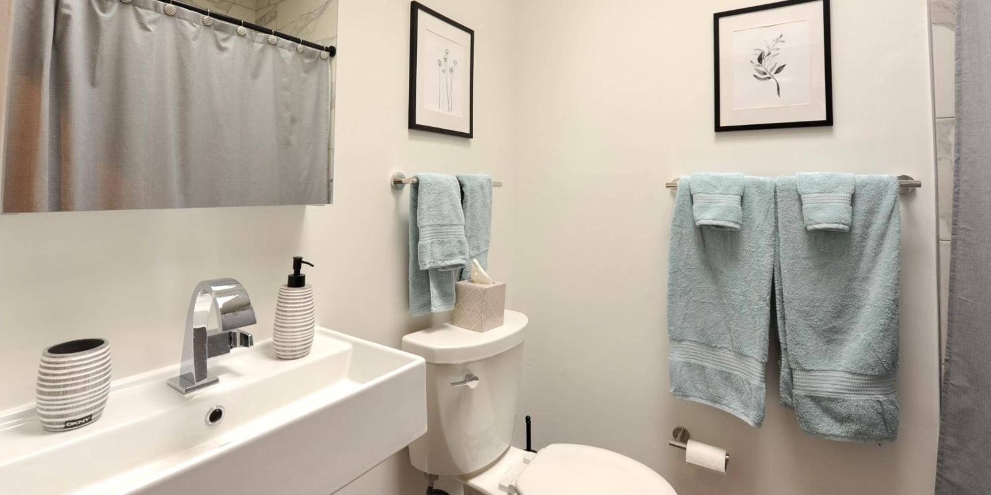 Cherry Blossom Townhouse, Easy Dc Access 华盛顿哥伦比亚 外观 照片